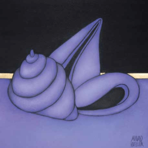 Conchiglie Monogrome